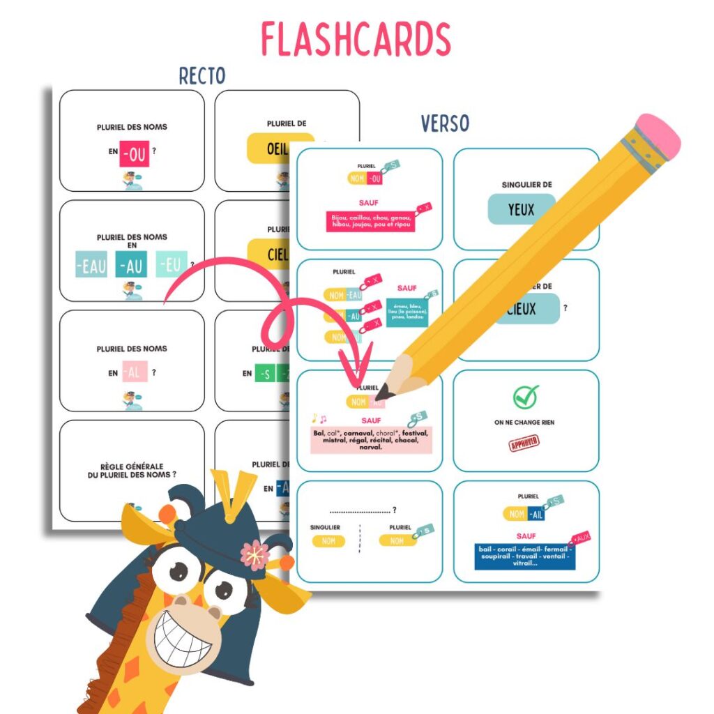 flashcards pluriel des noms