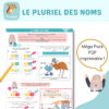 fiche-mentale-cours-illustre-pluriel-noms-CE2 le pluriel des noms cours illustré et fiches mémos : CE1-CE2, CM1, CM2