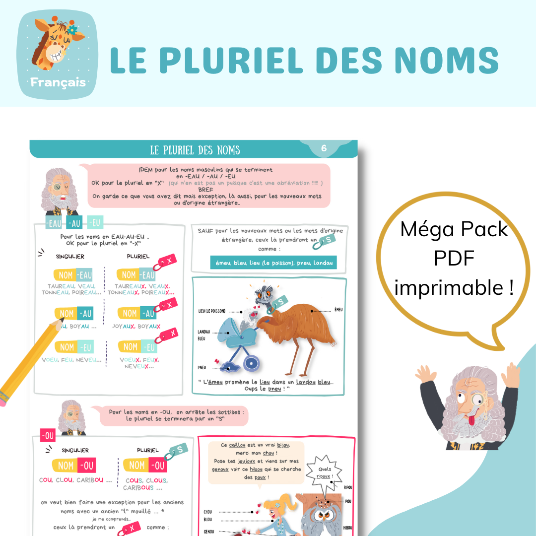 Le pluriel des noms : la leçon en BD + les fiches mentales