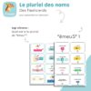 flashcards le pluriel des noms