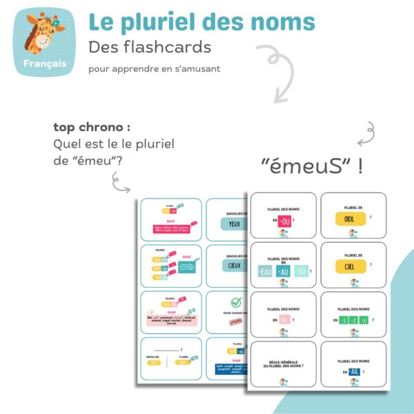 flashcards le pluriel des noms