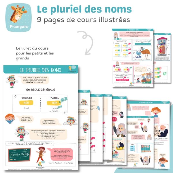 le cours illustre moyens mnemotechniques pluriel noms