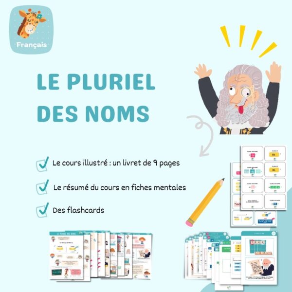 Français le pluriel des noms et exceptions