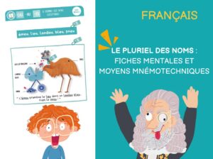 le pluriel des noms fiches mentales