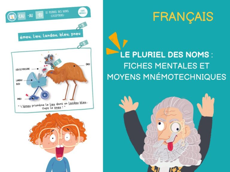 le pluriel des noms fiches mentales